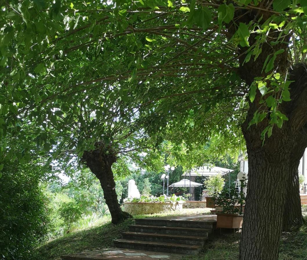 Maison Tuscany Bed&Breakfast Sinalunga Bagian luar foto