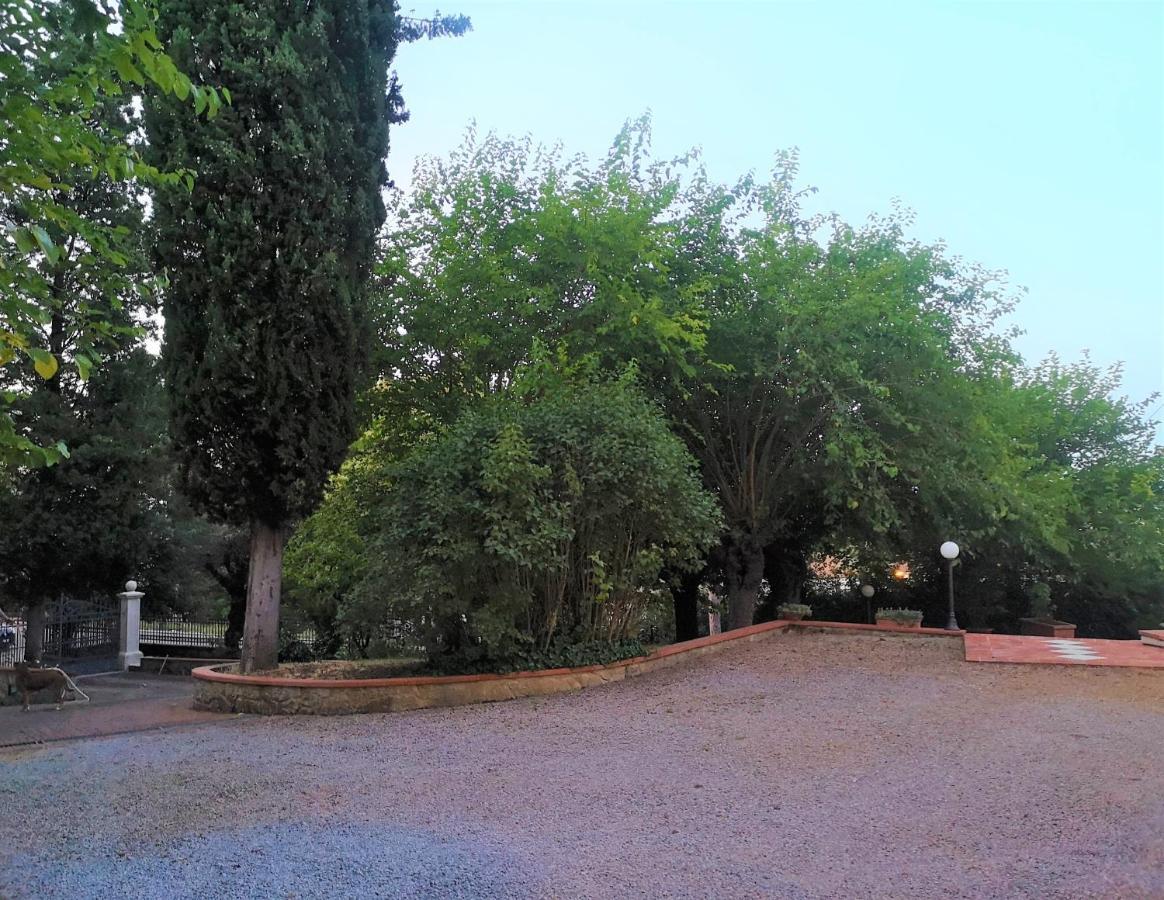 Maison Tuscany Bed&Breakfast Sinalunga Bagian luar foto
