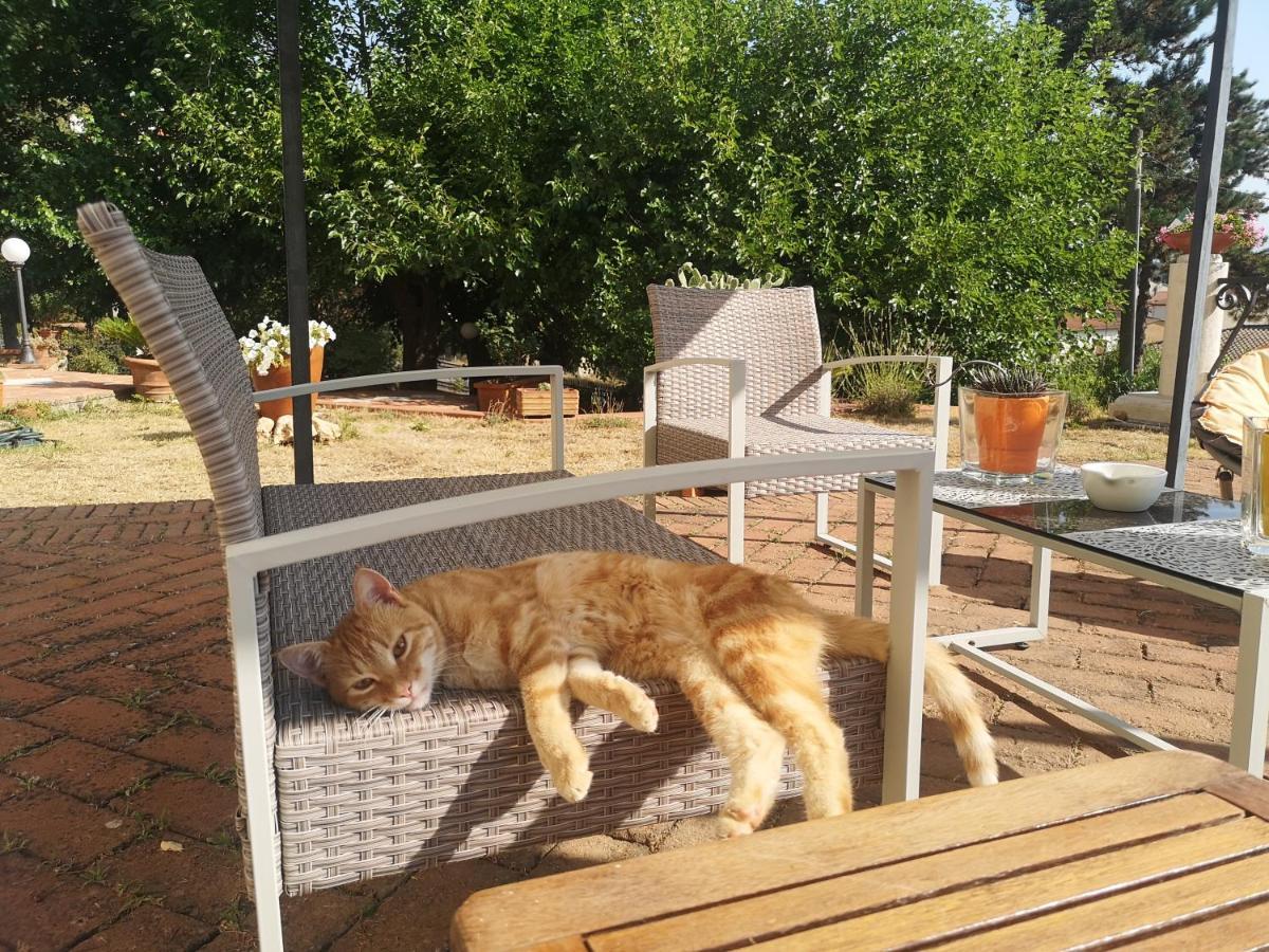Maison Tuscany Bed&Breakfast Sinalunga Bagian luar foto
